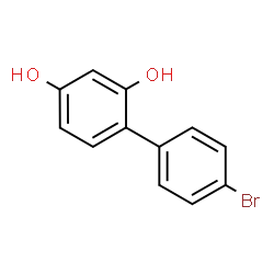 4'-Bromo-[1,1'-biphenyl]-2,4-diol CAS 1418117-89-1